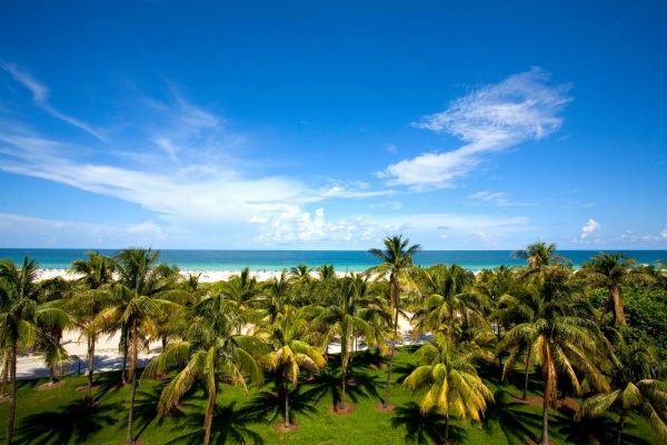 Beacon South Beach Hotel image 20